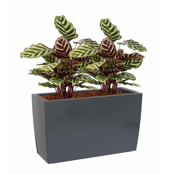 Artevasi Plant Box "Marbella", modern rectangular design, 32 liter volume white