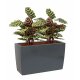 Artevasi Plant Box "Marbella", modern rectangular design, 32 liter volume anthracite