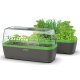Romberg BoQube greenhouse & planter box system in size L
