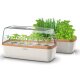 Romberg BoQube greenhouse & planter box system in size L cream copper