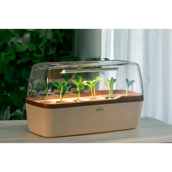 Romberg BoQube greenhouse & planter box system in size L with lighting cream copper