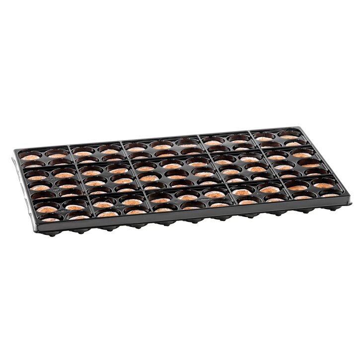 Romberg Coco Plug Tray with 77 coconut swell tablets, for plant cultivation