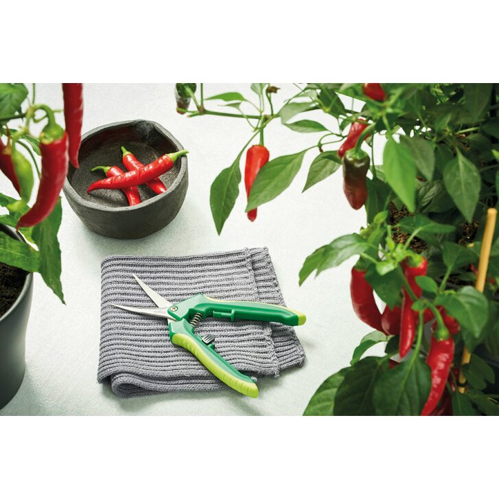 Romberg harvesting scissors "Easy"
, with ergonomically shaped handles