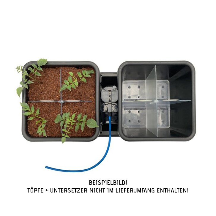 AutoPot Pot Divider für 8,5 L- und 15 L-Töpfe, 4 Pflanzen in einem Topf