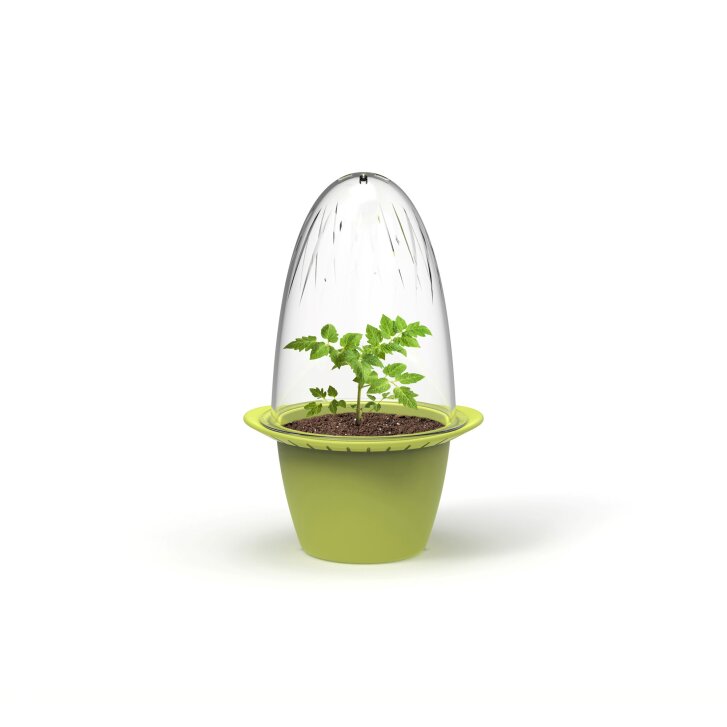 Romberg Mini planters, 3 pieces, with a transparent cover