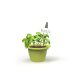 Romberg Mini planters, 3 pieces, with a transparent cover