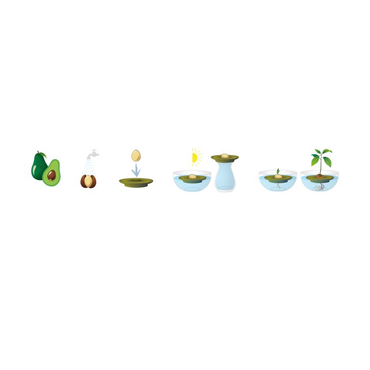 Romberg Avocado Kit, freischwimmende Anzuchthilfe für Avocado-Pflanzen