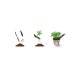 Romberg Cultivation accessories mini scoop + pricking stick